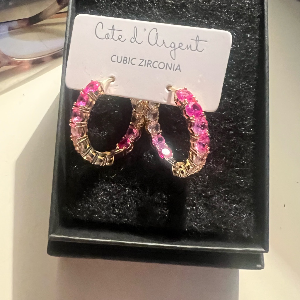 Gorgeous New Earrings